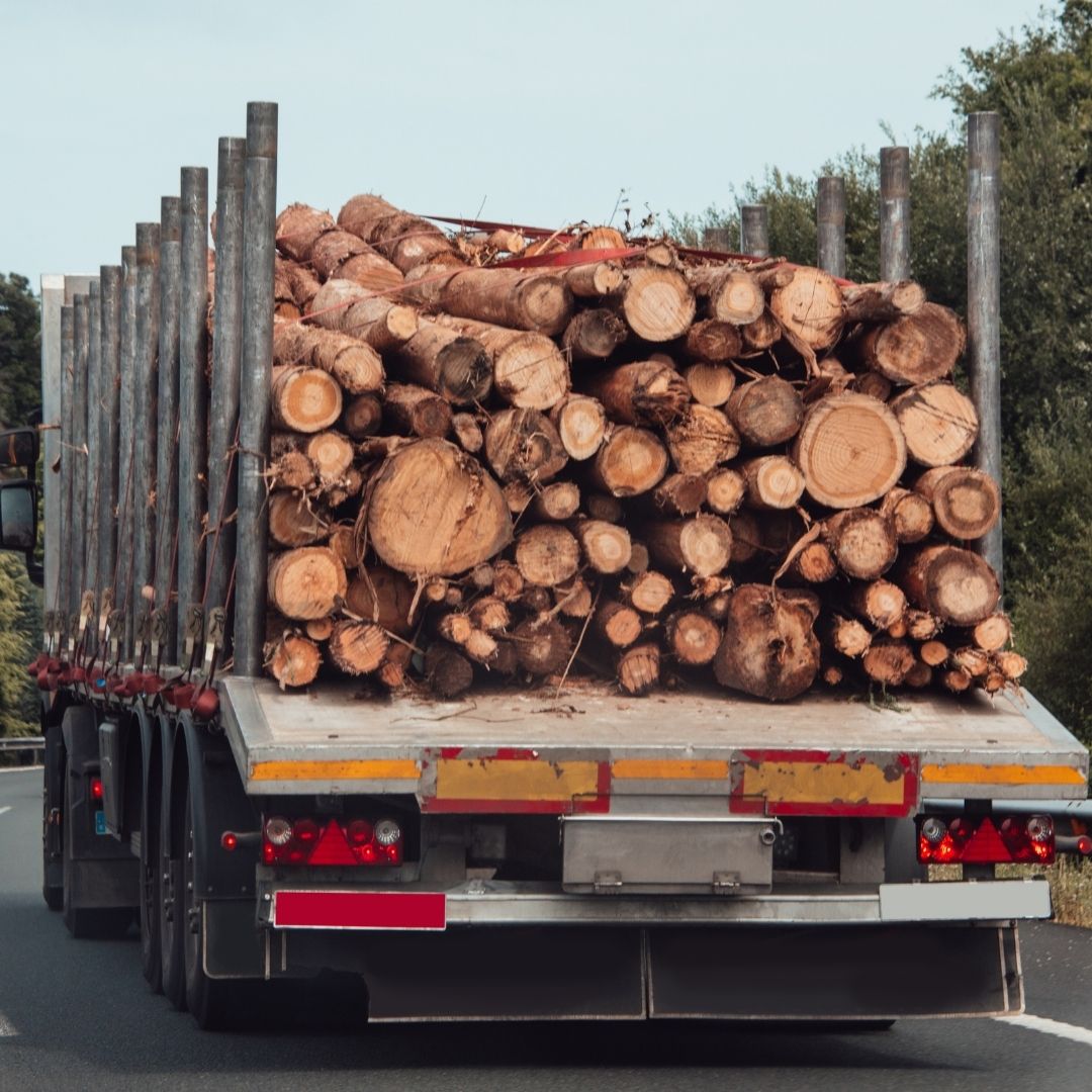 Hizmet Politikalarımız